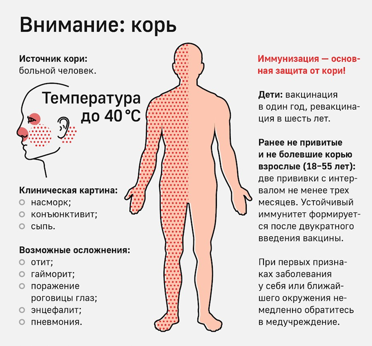 КОРЬ.jpg