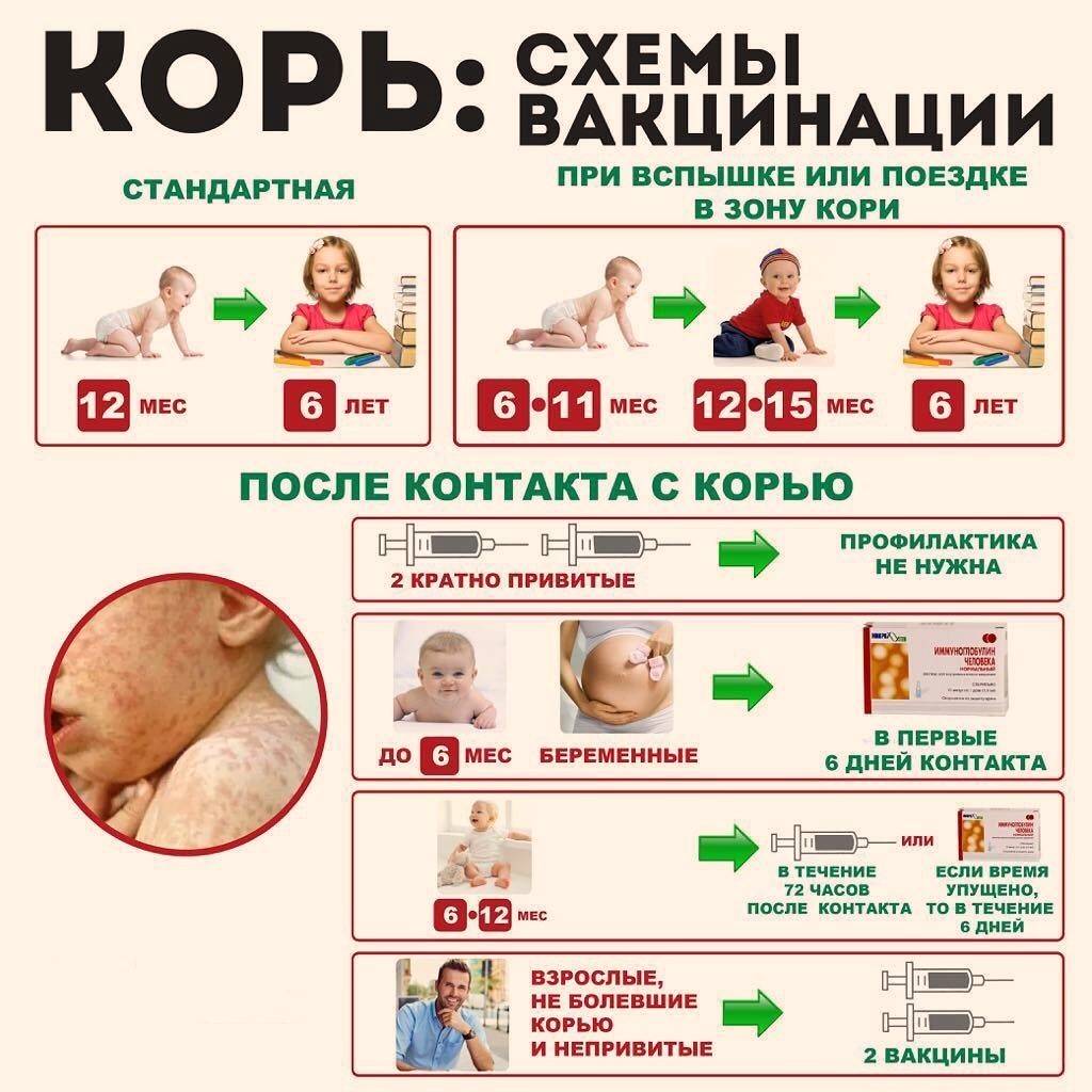 схема вакцинации.jpg