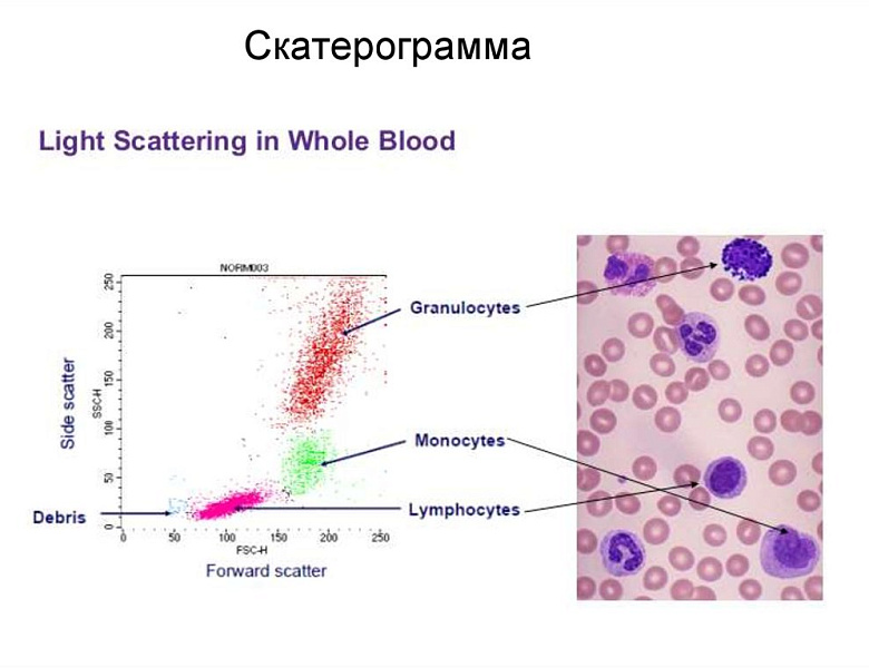 21 мая приглашаем на научно-образовательный семинар «Современная гемограмма. Новые параметры о которых вы еще не знали».
